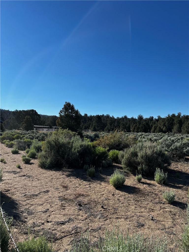 98443 Sierra Meadow Road Inyokern, CA 93527 - Photo 49 of 62 a view of a road with a yard