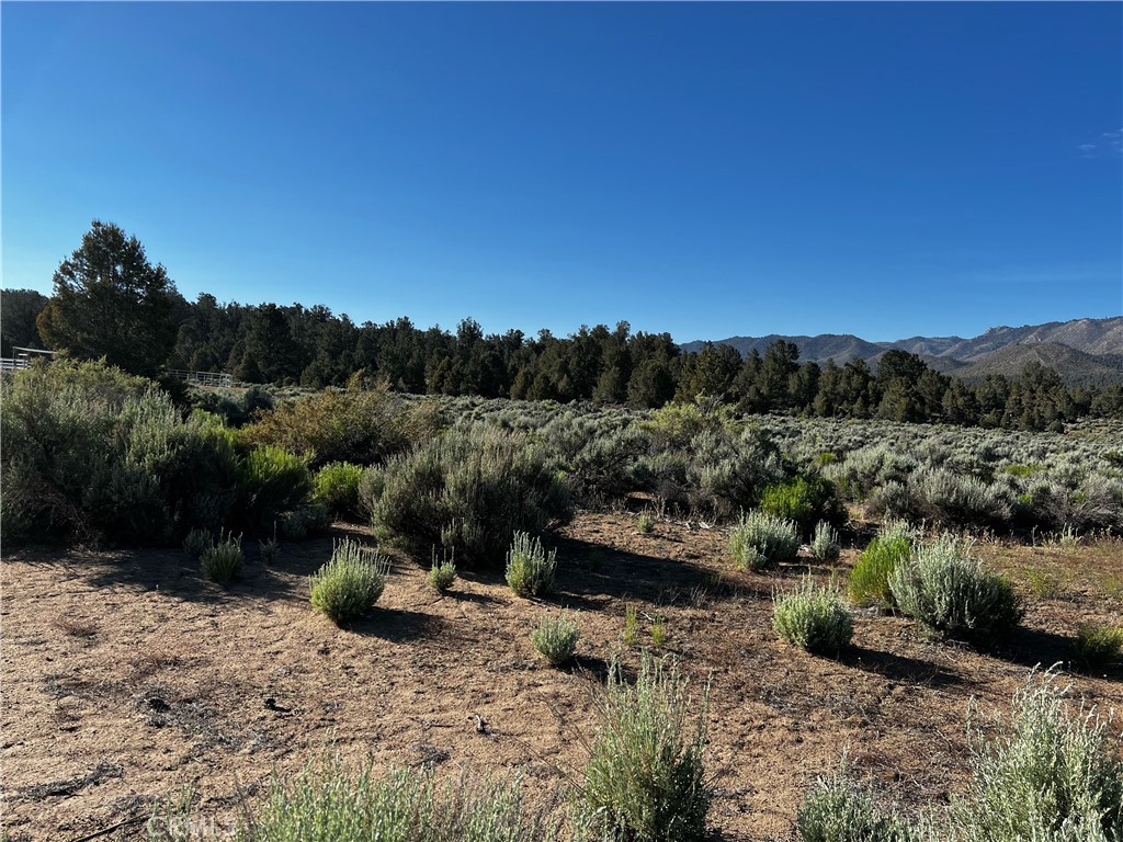 98443 Sierra Meadow Road Inyokern, CA 93527 - Photo 50 of 62 a view of a mountain with a yard