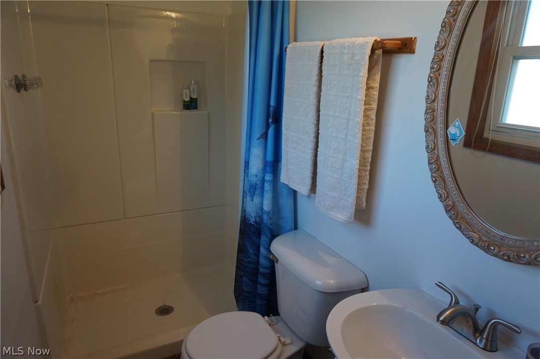 6019 New London Road Ashtabula, OH 44004 - Photo 11 of 47 Bathroom featuring toilet, walk in shower, and sink