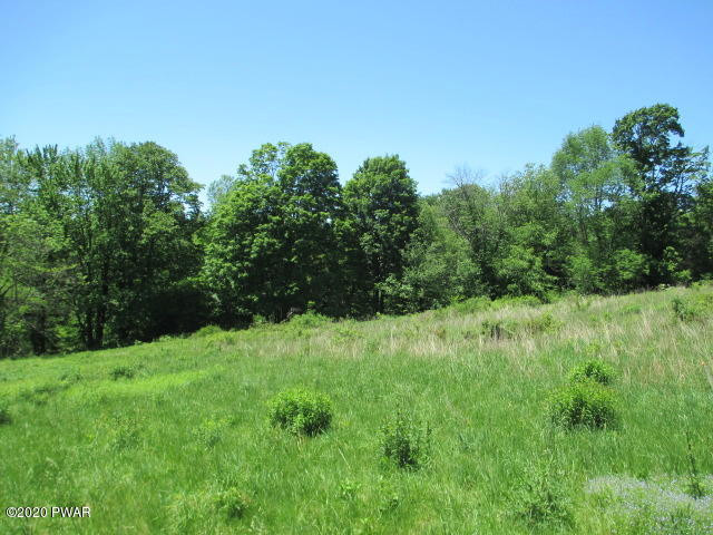 Lot A1 Adams Road Lake Ariel, PA 18436 - Photo 6 of 8