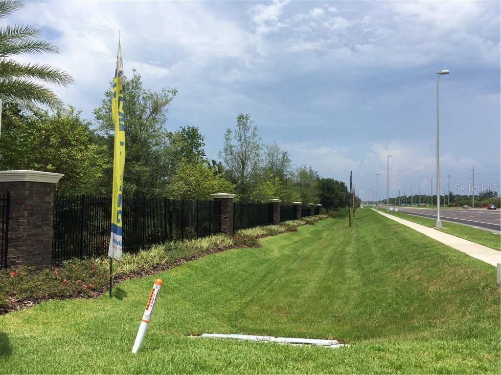 11769 Highway 301 Riverview, FL 33578 - Photo 5 of 5 a view of a back yard