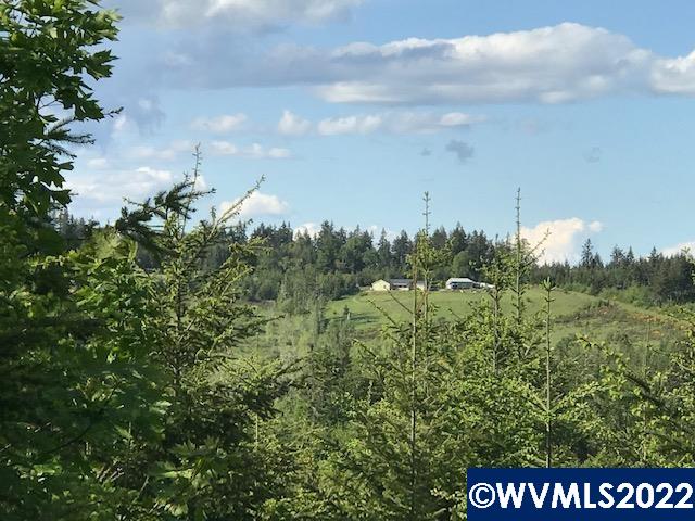 0 Old Military (frontage) Road Dallas, OR 97338 - Photo 4 of 12