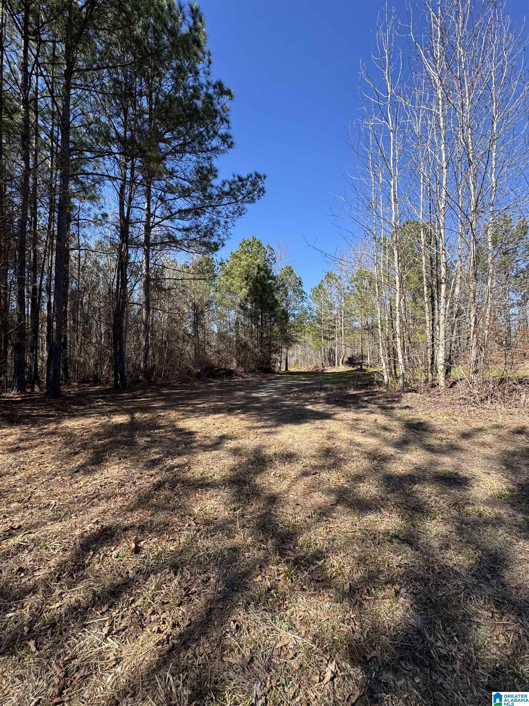 19063 Westside Road, Unit 6 Brookwood, AL 35444 - Photo 3 of 25