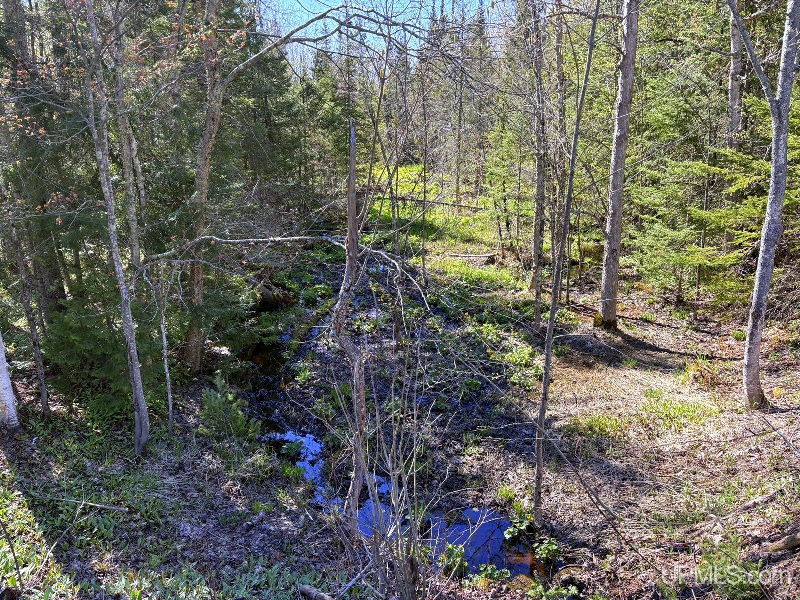 Tbd Tbd Townline Road Skandia, MI 49885 - Photo 38 of 58