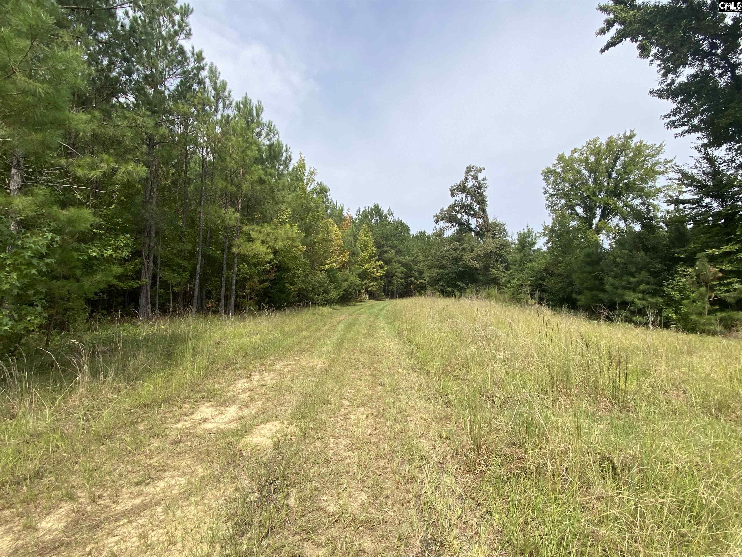 91 Shiver Road Rembert, SC 29128 - Photo 6 of 23