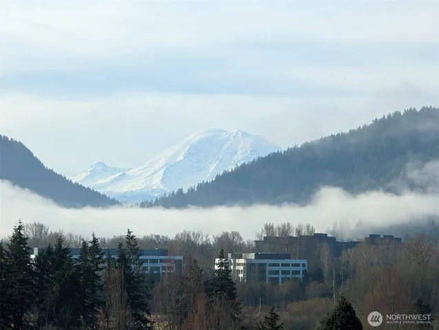 a view of city and a lake