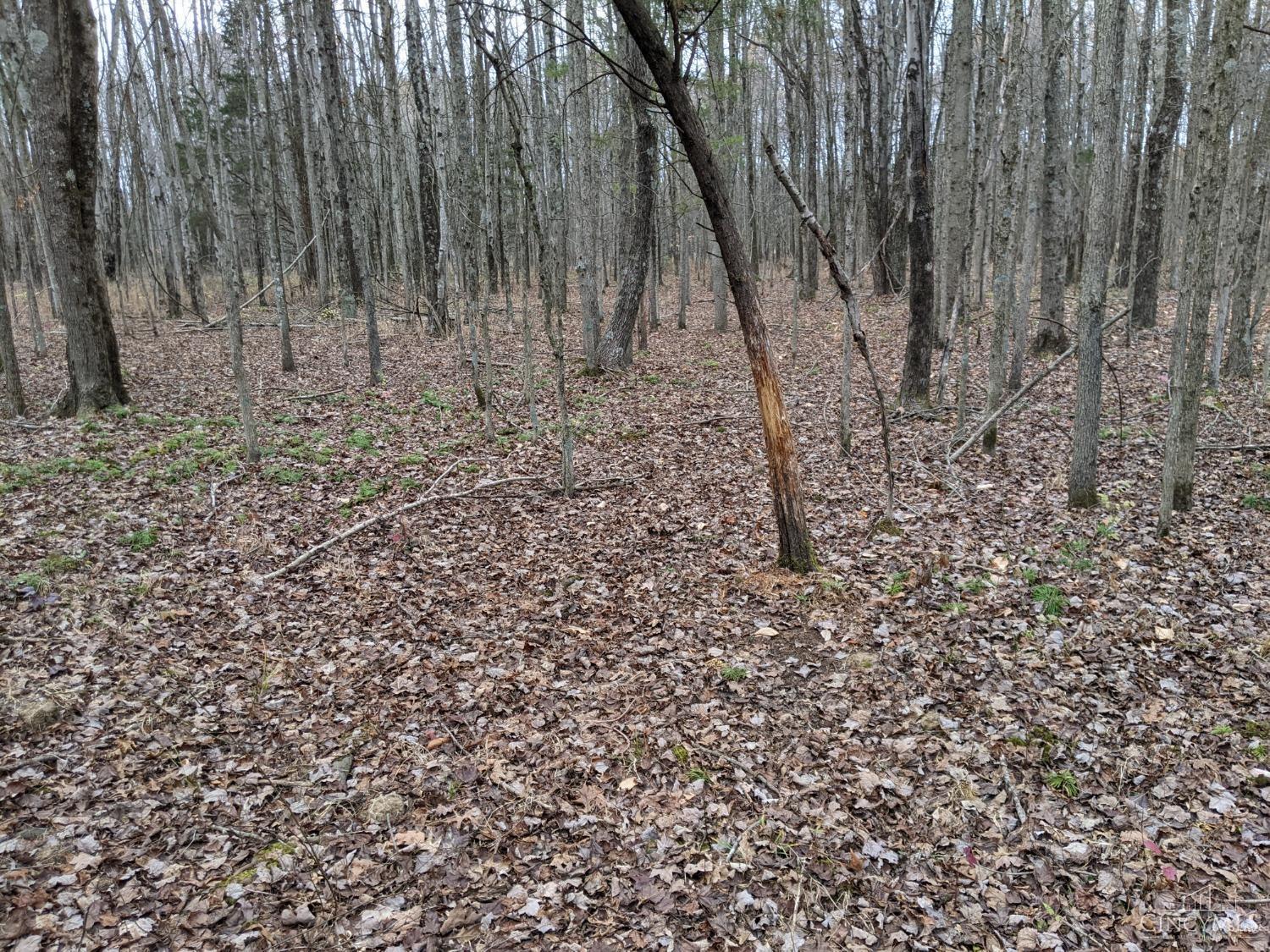 Acres Yankeetown Road Hamersville, OH 45130 - Photo 7 of 13
