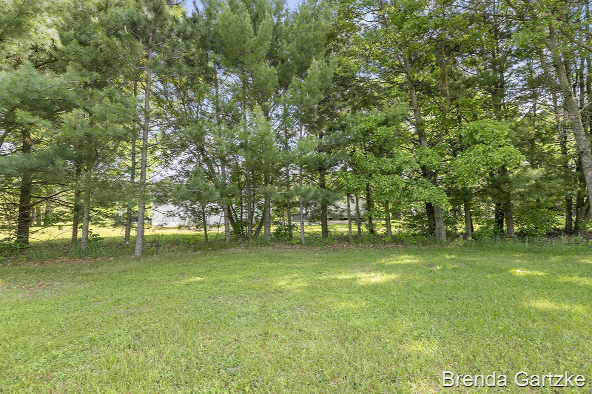 8303 Garbow Road Howard City, MI 49329 - Photo 22 of 28 IMG_1021