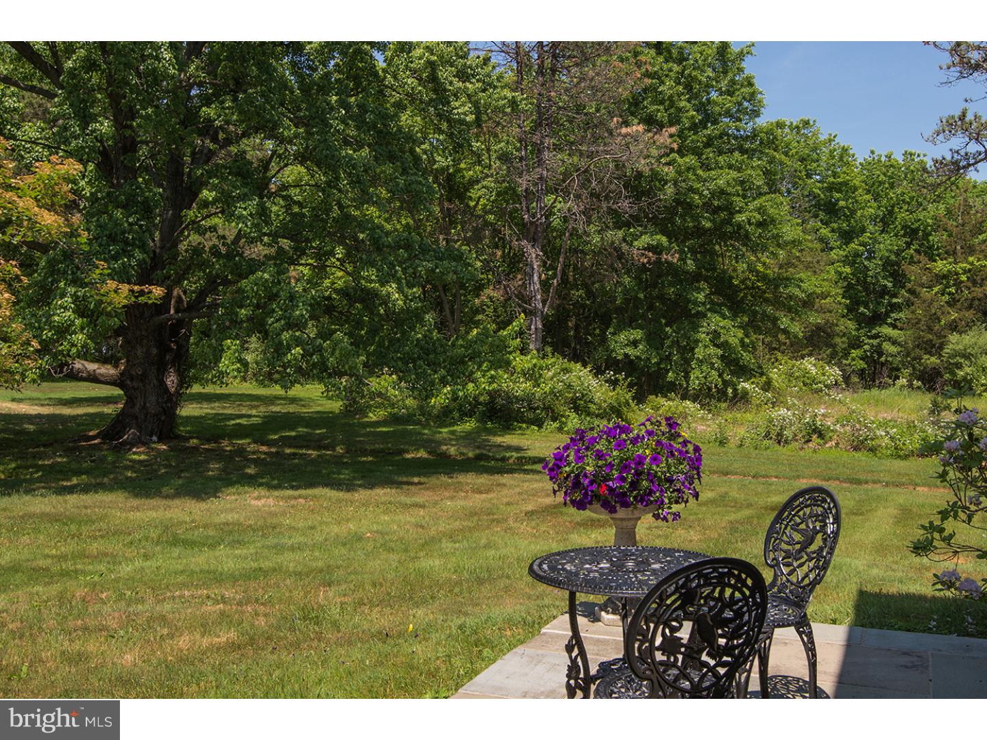 6656 Stump Road Pipersville, PA 18947 - Photo 4 of 25