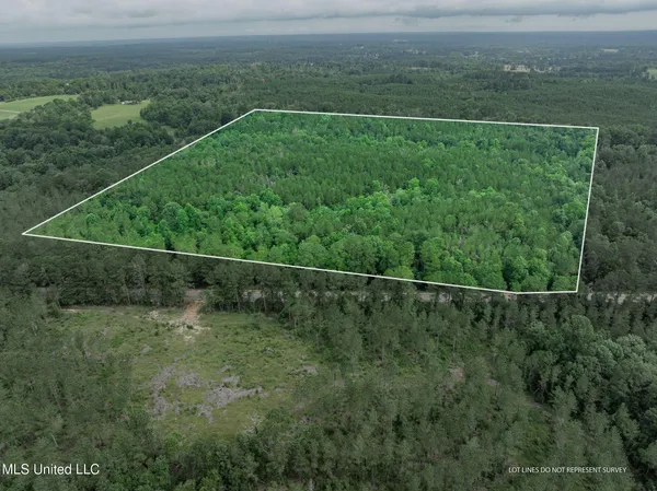 $79,500 | 40 Acres Highway, Mount Olive, MS 39119
