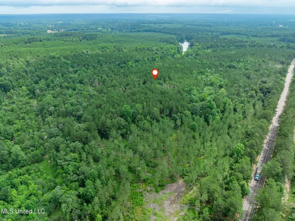 $79,500 | 40 Acres Highway, Mount Olive, MS 39119