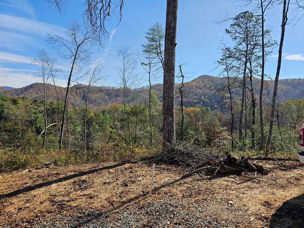 25 Odell Loop Murphy, NC 28906 - Photo 1 of 13 Main View