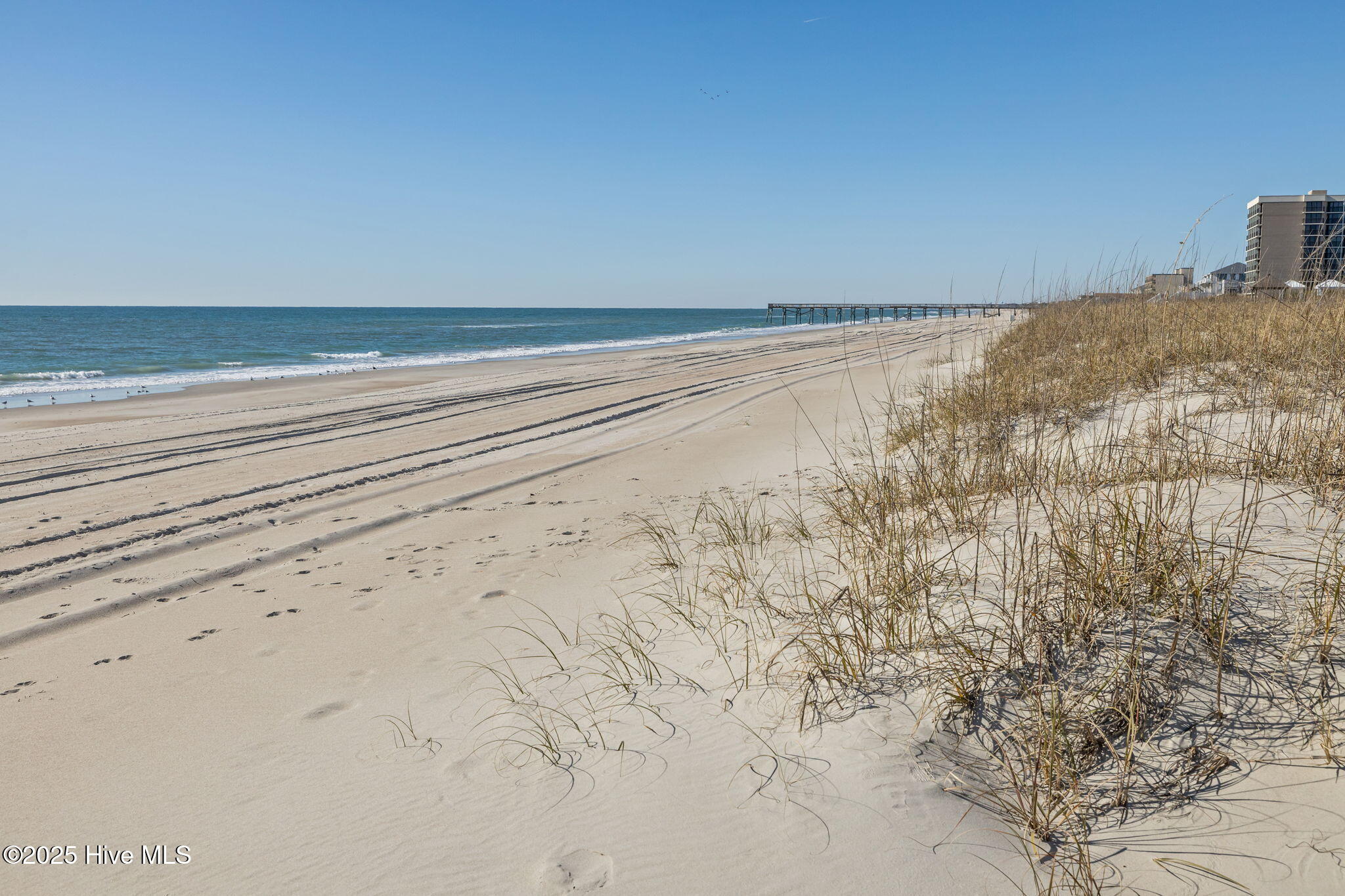 2509 West Fort Macon Road, Unit 103B Atlantic Beach, NC 28512 - Photo 38 of 48 Beach Life
