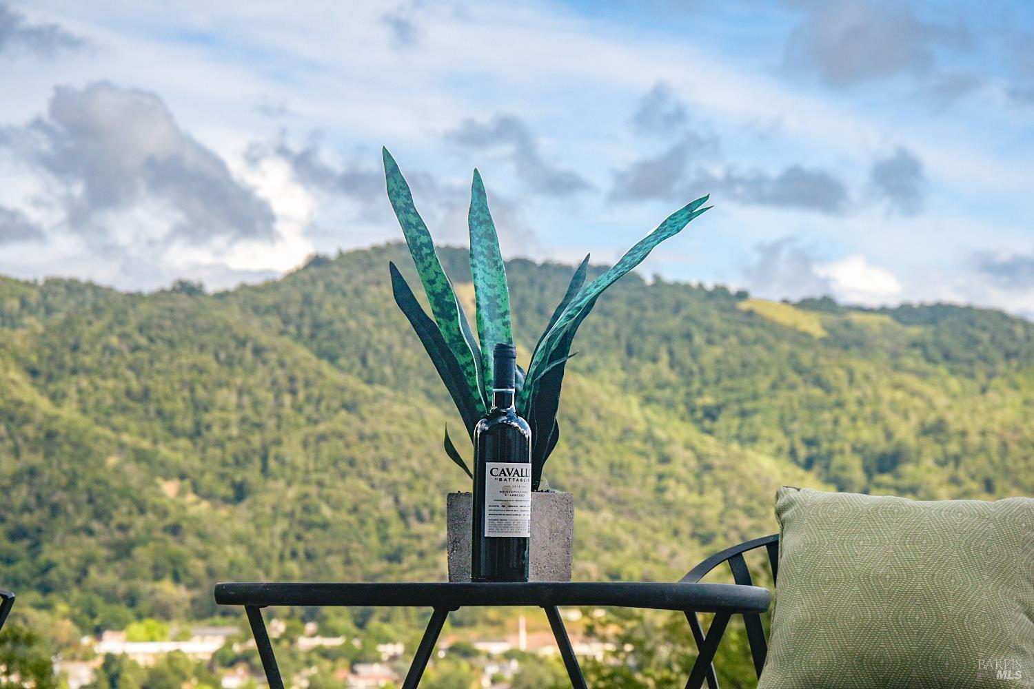 260 Channing Way, Unit 2 San Rafael, CA 94903 - Photo 21 of 32