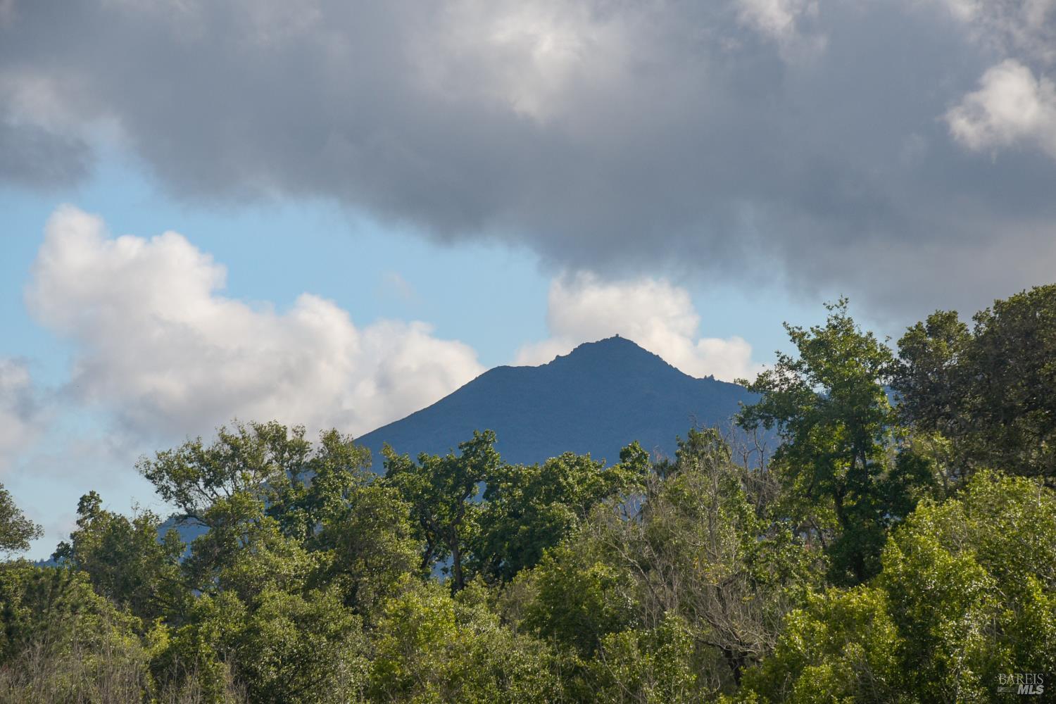 260 Channing Way, Unit 2 San Rafael, CA 94903 - Photo 26 of 32