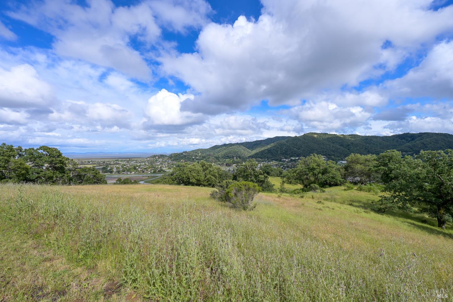 260 Channing Way, Unit 2 San Rafael, CA 94903 - Photo 27 of 32