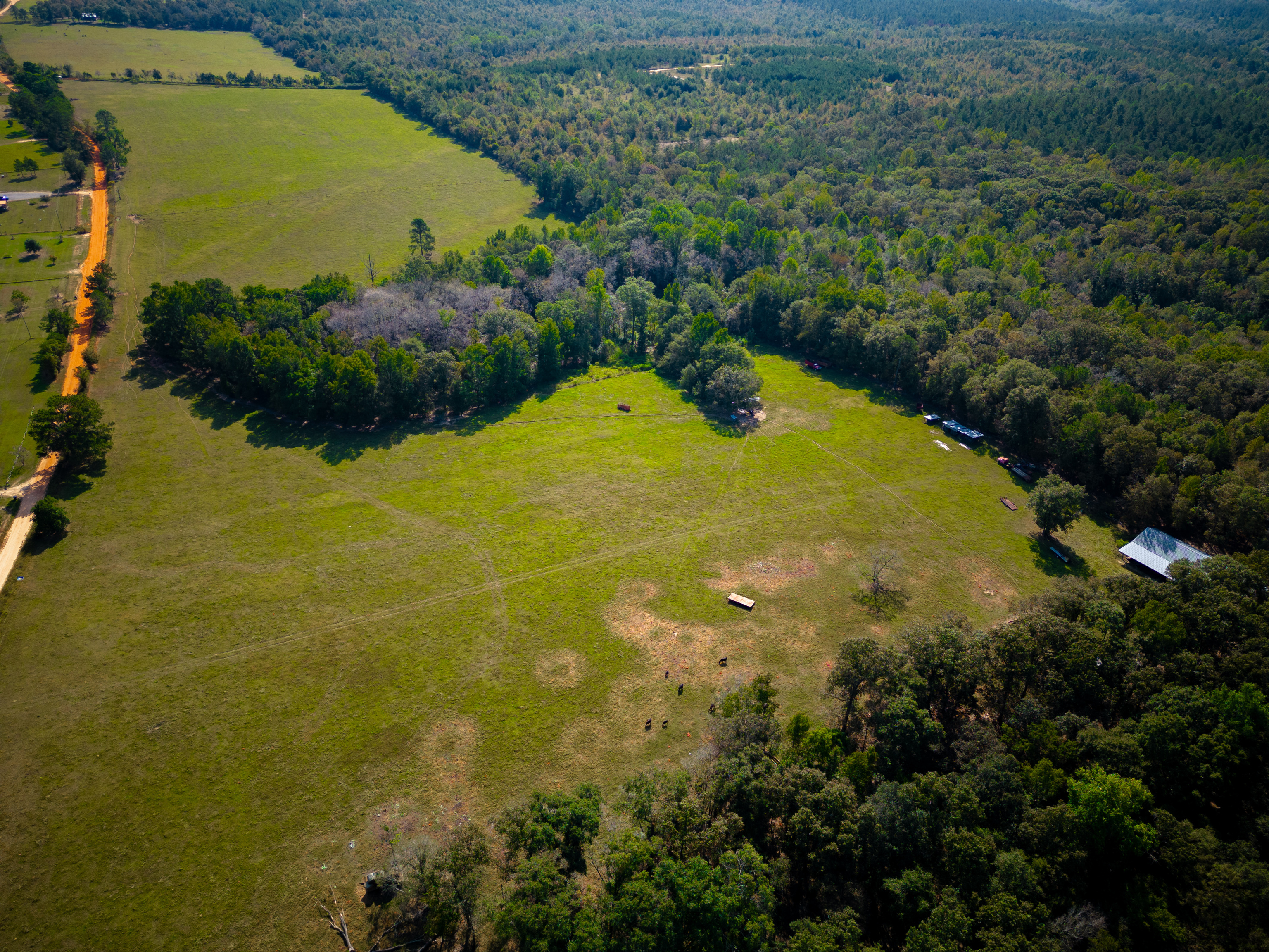 0 Jimmy Wells Road Ellaville, GA 31806 - Photo 1 of 1 a view of a lake