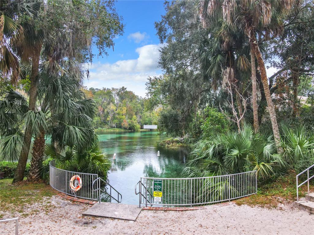 10043 Southwest 202nd Circle Dunnellon, FL 34431 - Photo 62 of 68