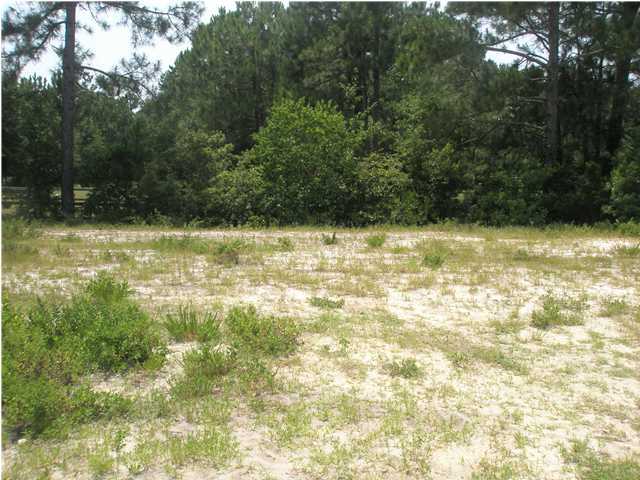 Lot 18 Water Oaks Loop Santa Rosa Beach, FL 32459 - Photo 1 of 1 Gallery Image 1