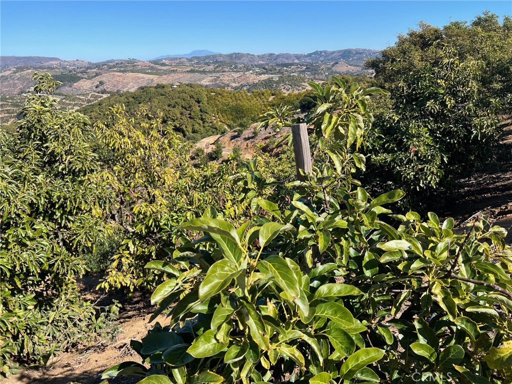 45811 Camaron Road Temecula, CA 92590 - Photo 18 of 21 a view of a city with green field
