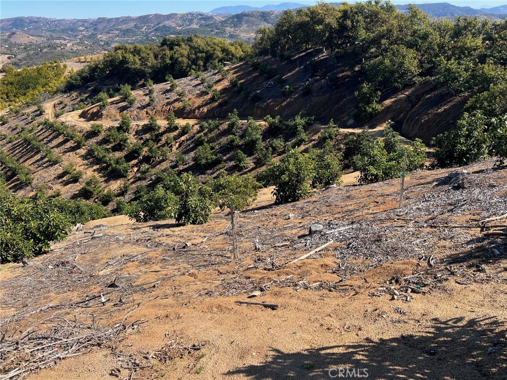 45811 Camaron Road Temecula, CA 92590 - Photo 7 of 21 a view of a dry yard
