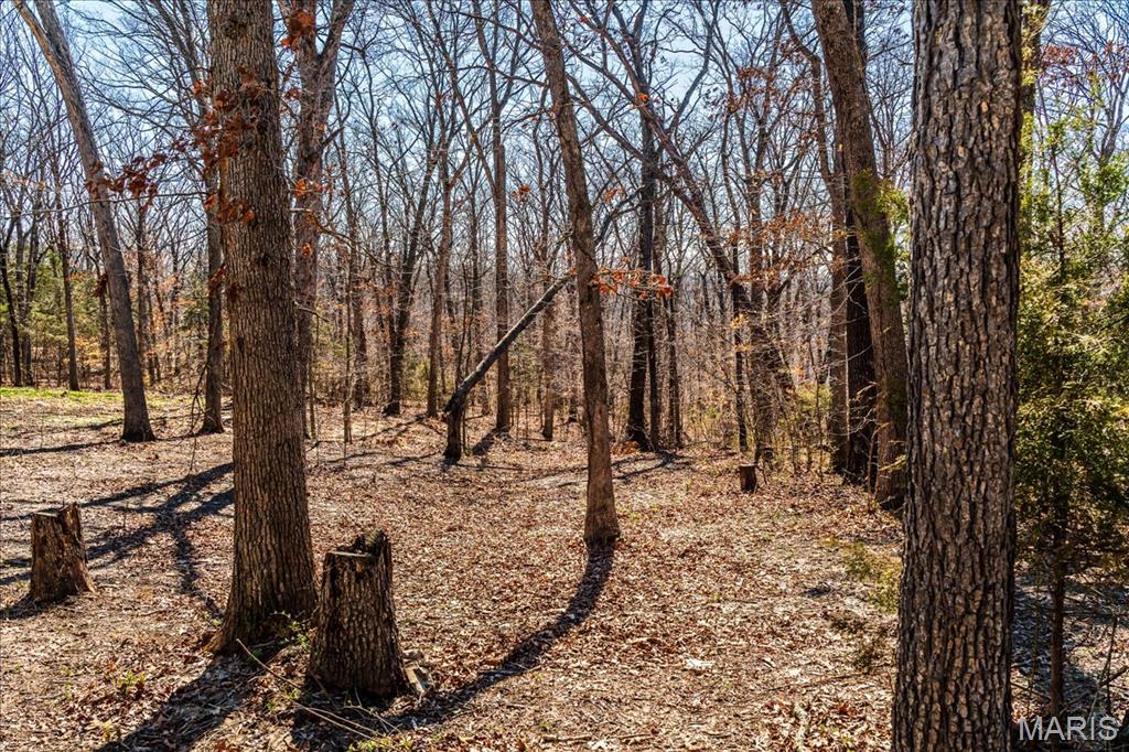 3491 Massey Ford Road Union, MO 63084 - Photo 6 of 24