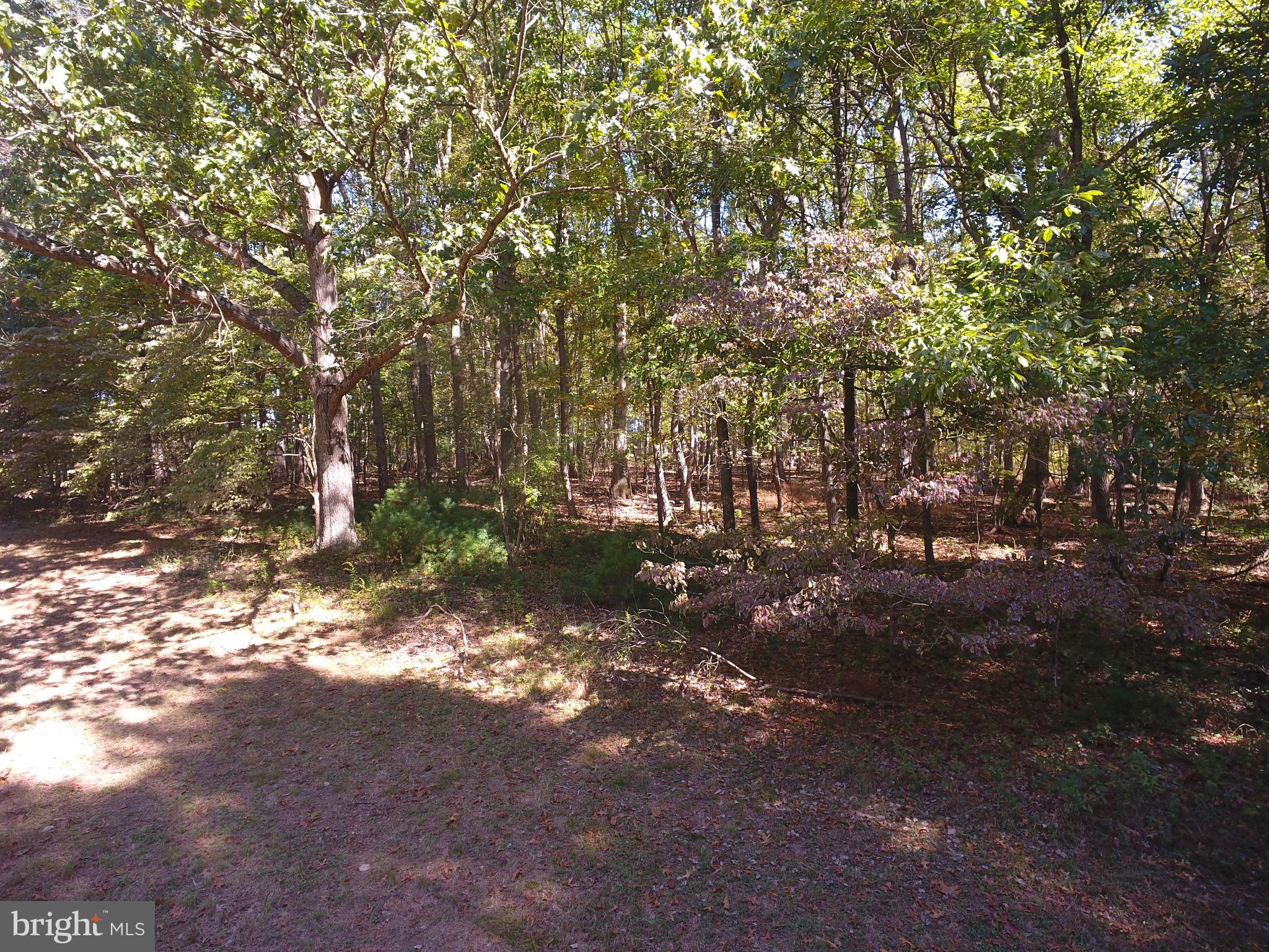 21117 Millers Mill Road Freeland, MD 21053 - Photo 14 of 23 Gallery Image 14