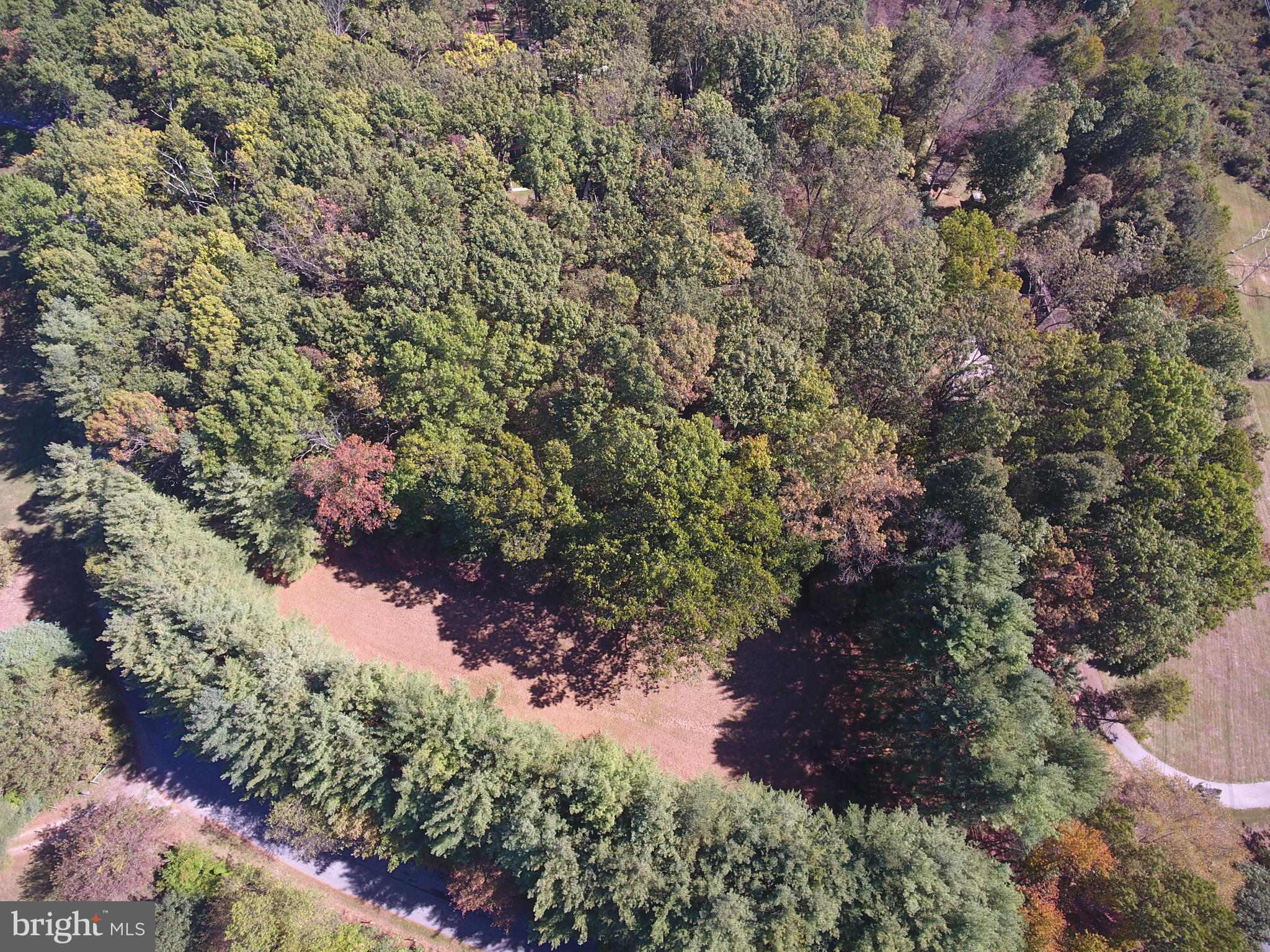 21117 Millers Mill Road Freeland, MD 21053 - Photo 20 of 23 Gallery Image 20