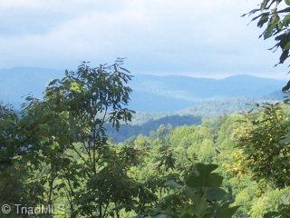 0 Blue Rock Road Purlear, NC 28665 - Photo 1 of 1 Main View