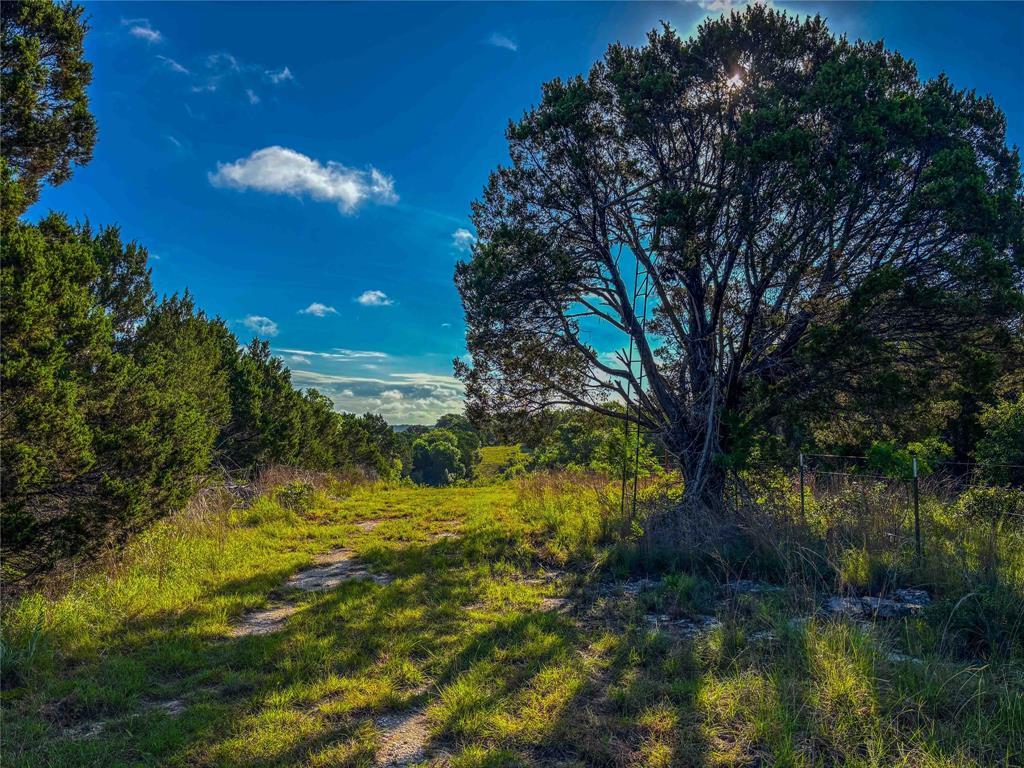 Unk Unk Private Road, Unit 2131 Iredell, TX 76649 - Photo 20 of 36 a view of a yard with a tree