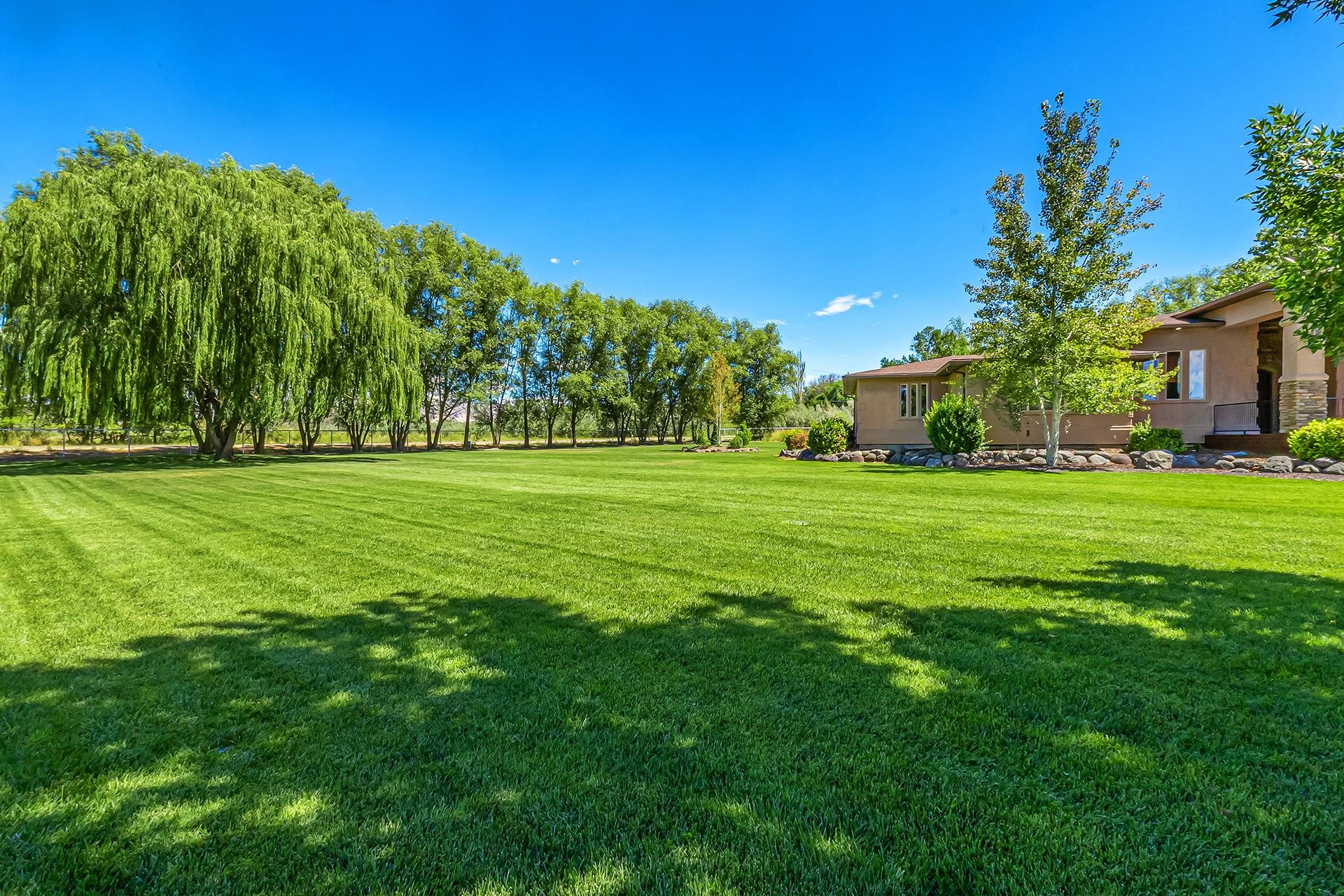 896 25 Road Grand Junction, CO 81505 - Photo 26 of 42