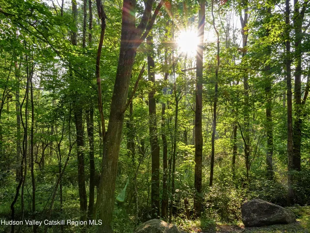 $980,000 | 234 County Highway 8, Roxbury, NY 12421