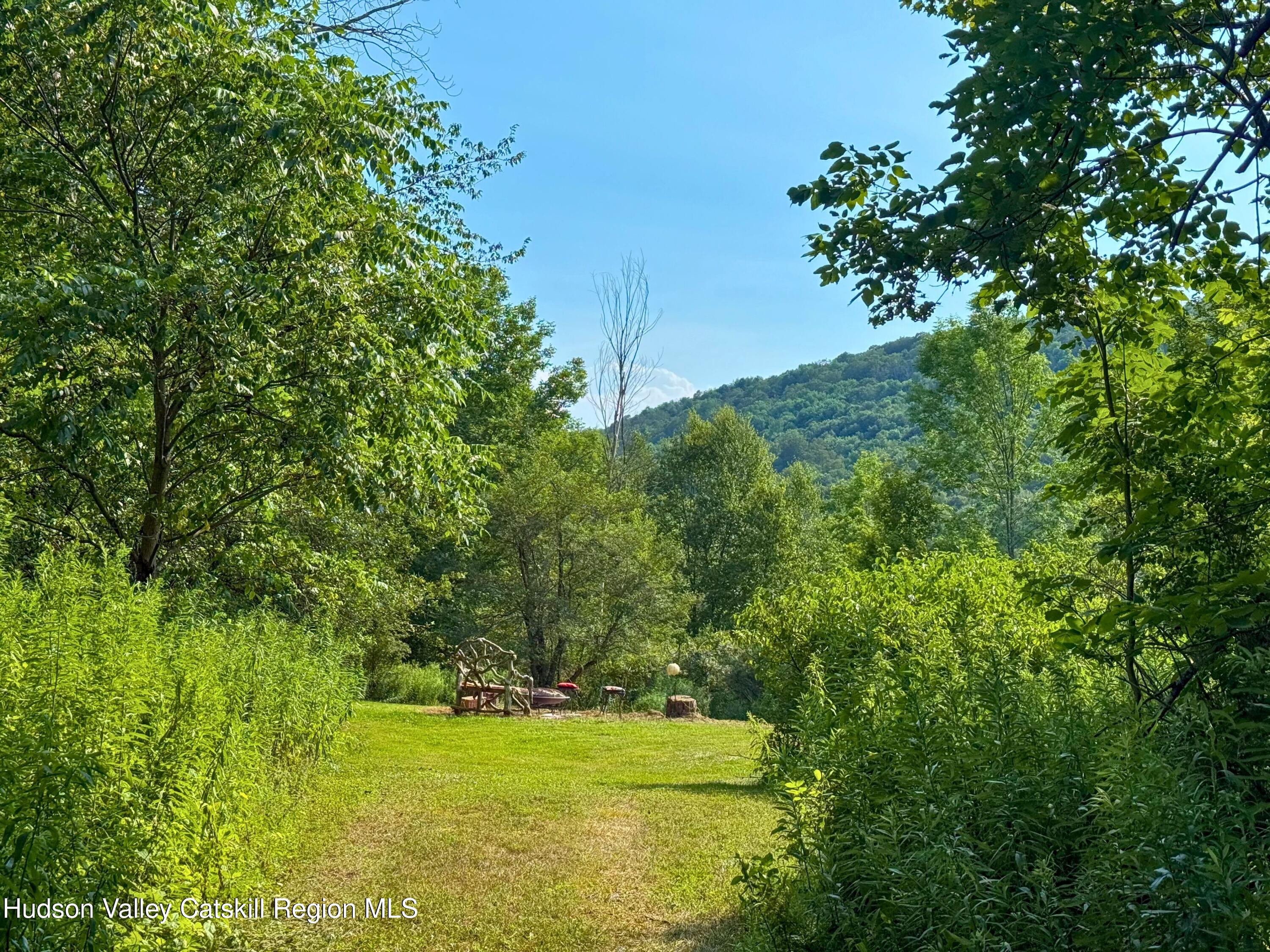 234 County Highway 8 Roxbury, NY 12421 - Photo 46 of 49 46