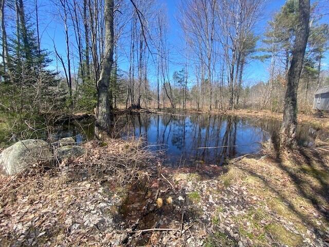 560 Jellerson Road East Waterboro, ME 04030 - Photo 3 of 13 Jellerson pond