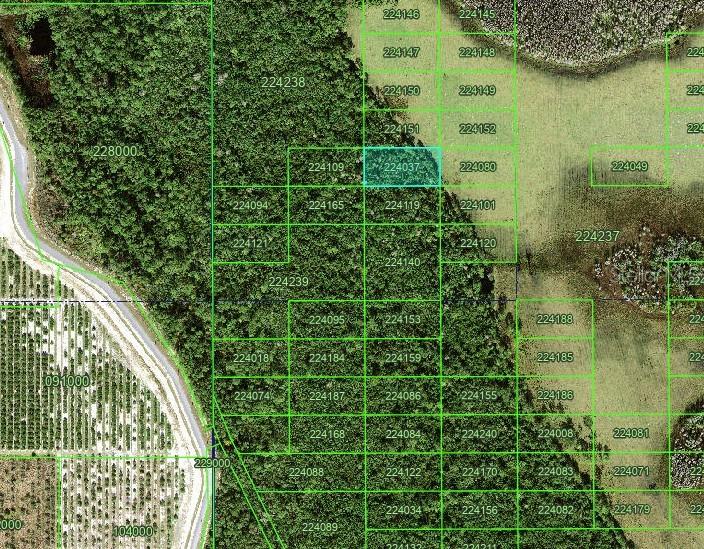 Tbd Polk City, FL 33868 - Photo 3 of 3 a view of a garden