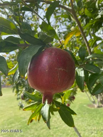 $1,450,000 | 9427 South 51st Avenue, Laveen, AZ 85339