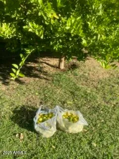 $1,450,000 | 9427 South 51st Avenue, Laveen, AZ 85339