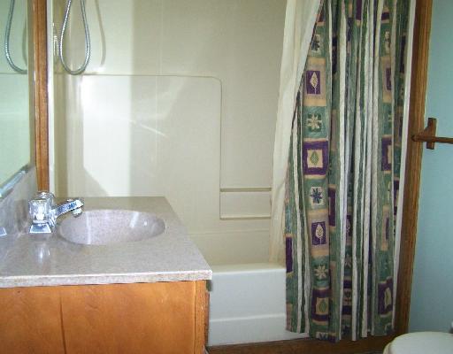 218 Neely School Road Wexford, PA 15090 - Photo 6 of 8 Master Bath/Spa.