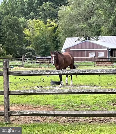 a view of a yard with a barn and plants