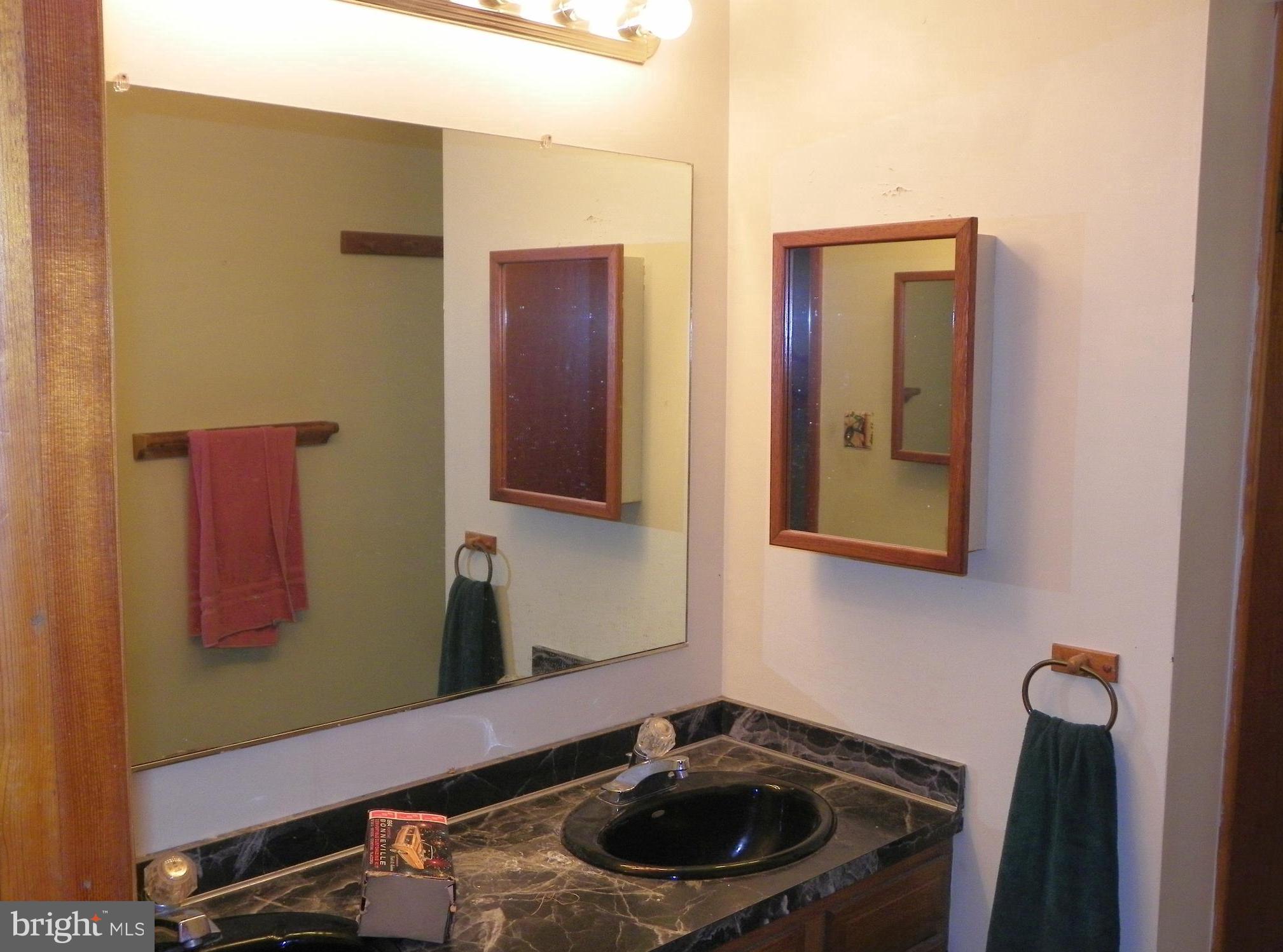 1560 County Line Road Bechtelsville, PA 19505 - Photo 11 of 37 Main Bath