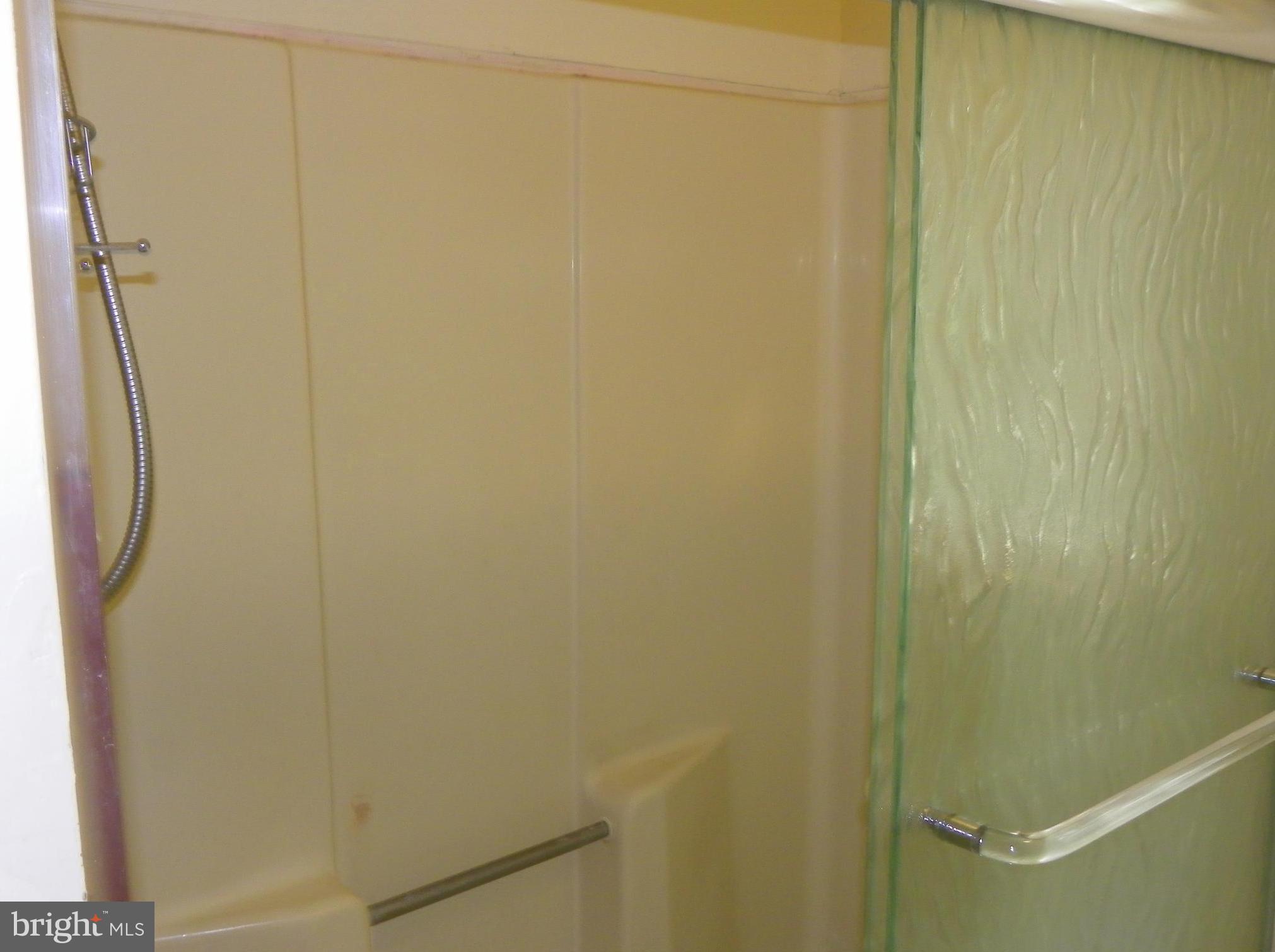 1560 County Line Road Bechtelsville, PA 19505 - Photo 12 of 37 Main bath shower