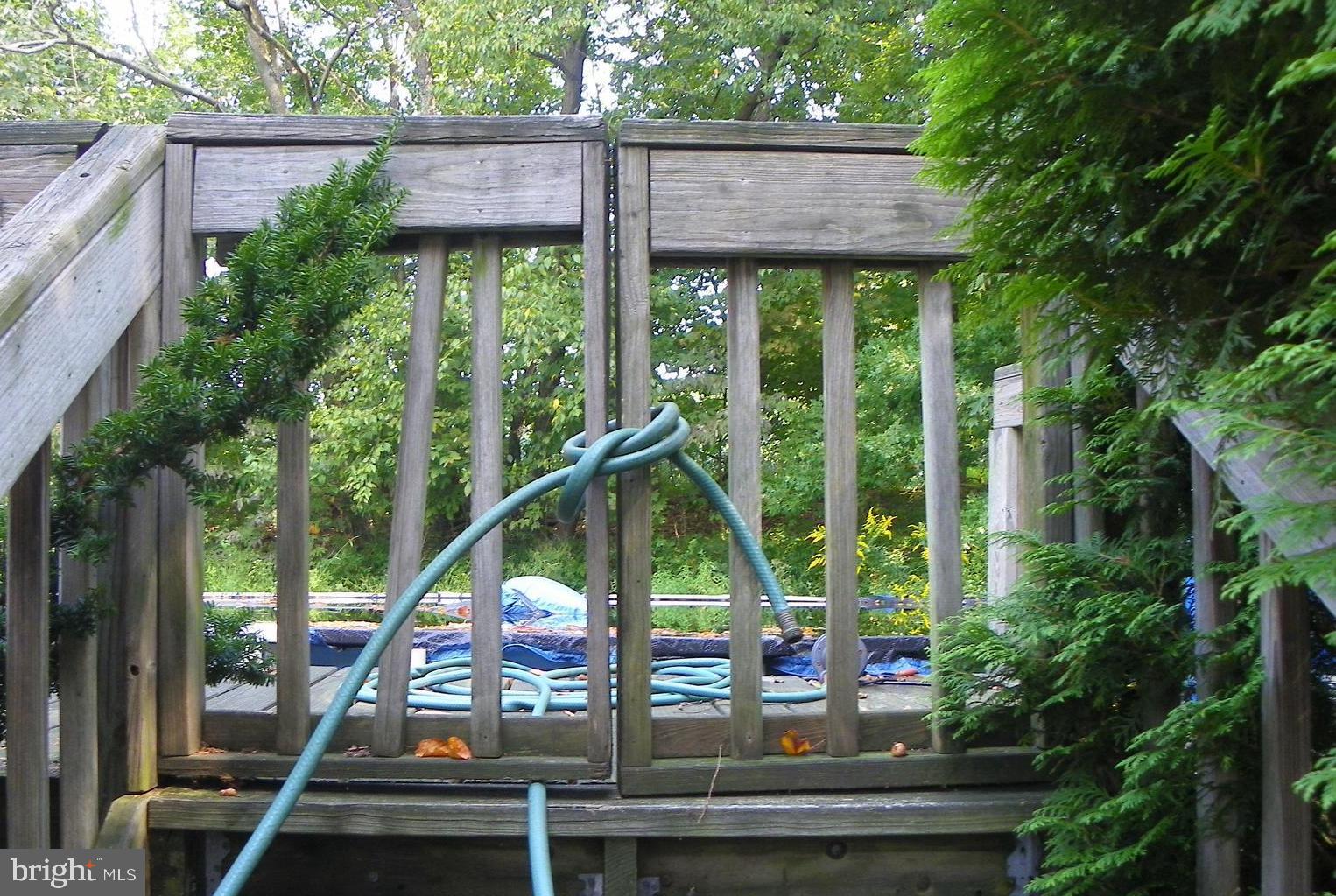 1560 County Line Road Bechtelsville, PA 19505 - Photo 3 of 37 Pool Stairs Tied closed