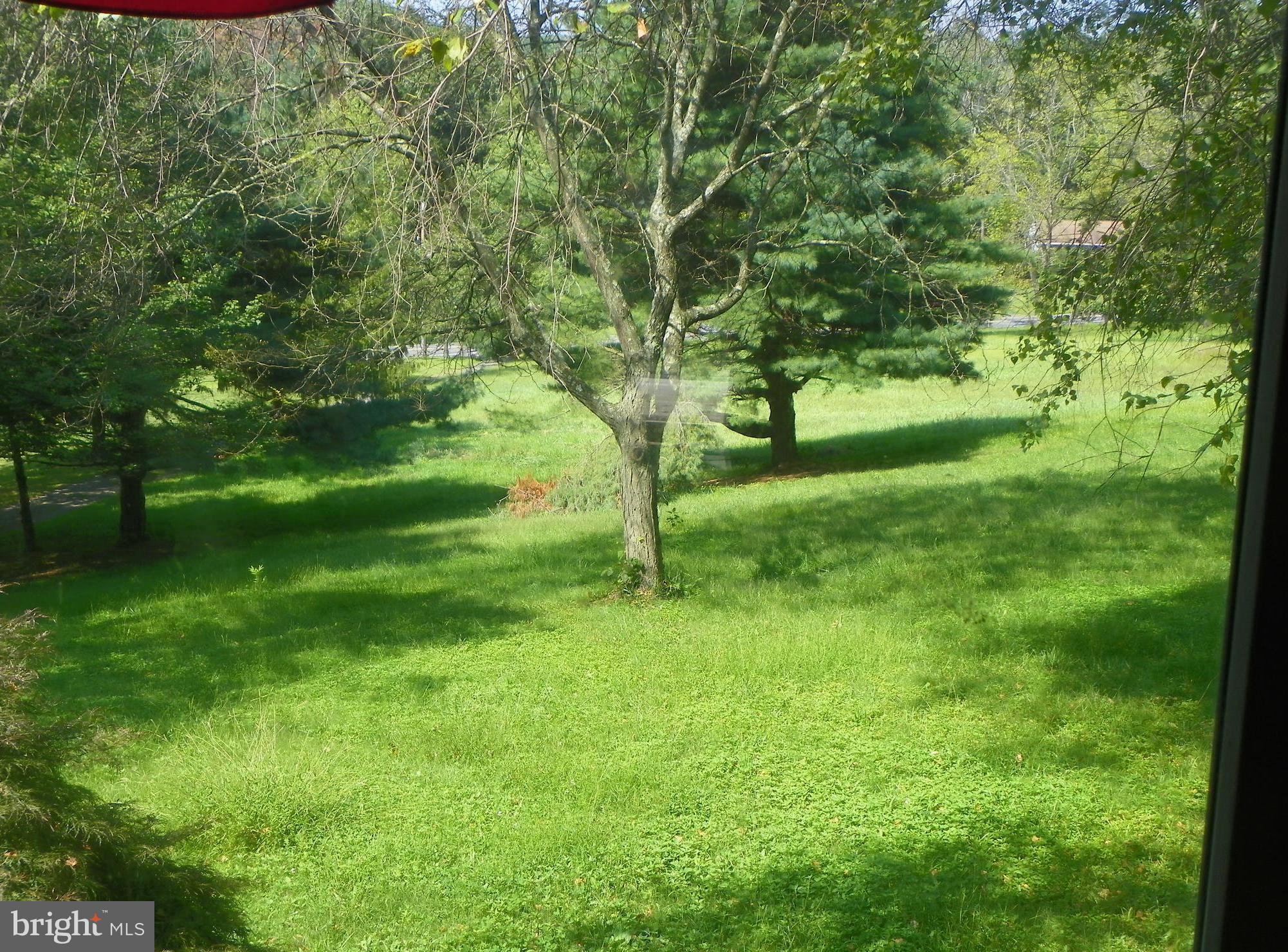 1560 County Line Road Bechtelsville, PA 19505 - Photo 28 of 37 View from front window to street