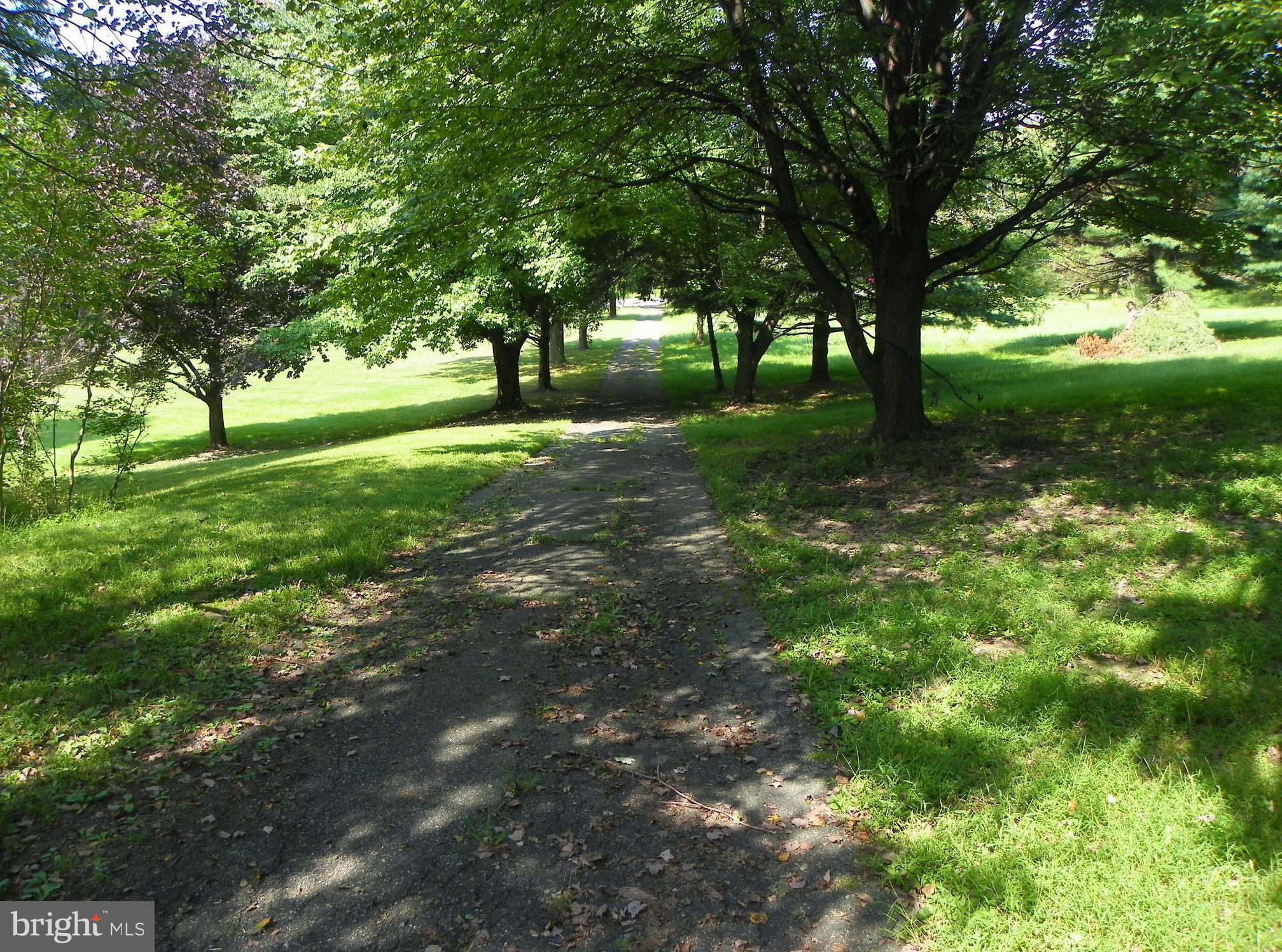 1560 County Line Road Bechtelsville, PA 19505 - Photo 29 of 37 Driveway