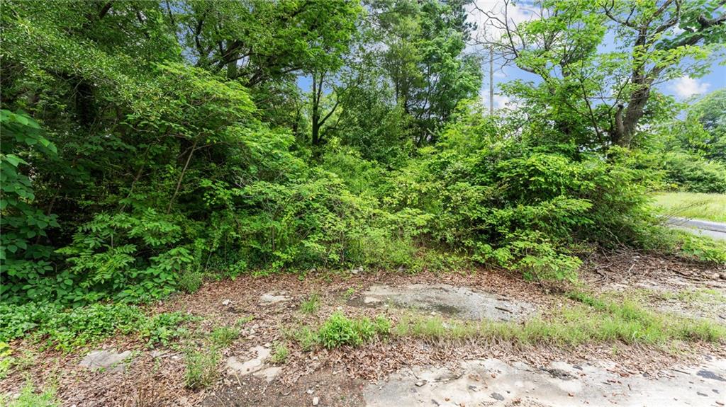 1202 Desoto Avenue Northwest Rome, GA 30165 - Photo 10 of 19 a view of a lush green forest