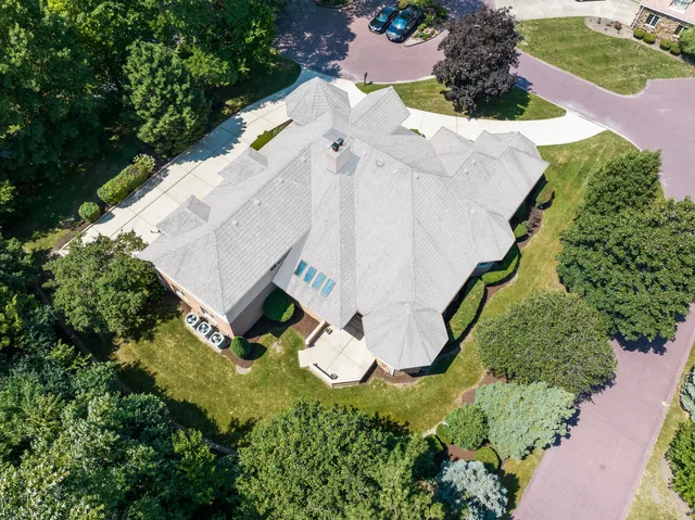 a view of a garden with plants