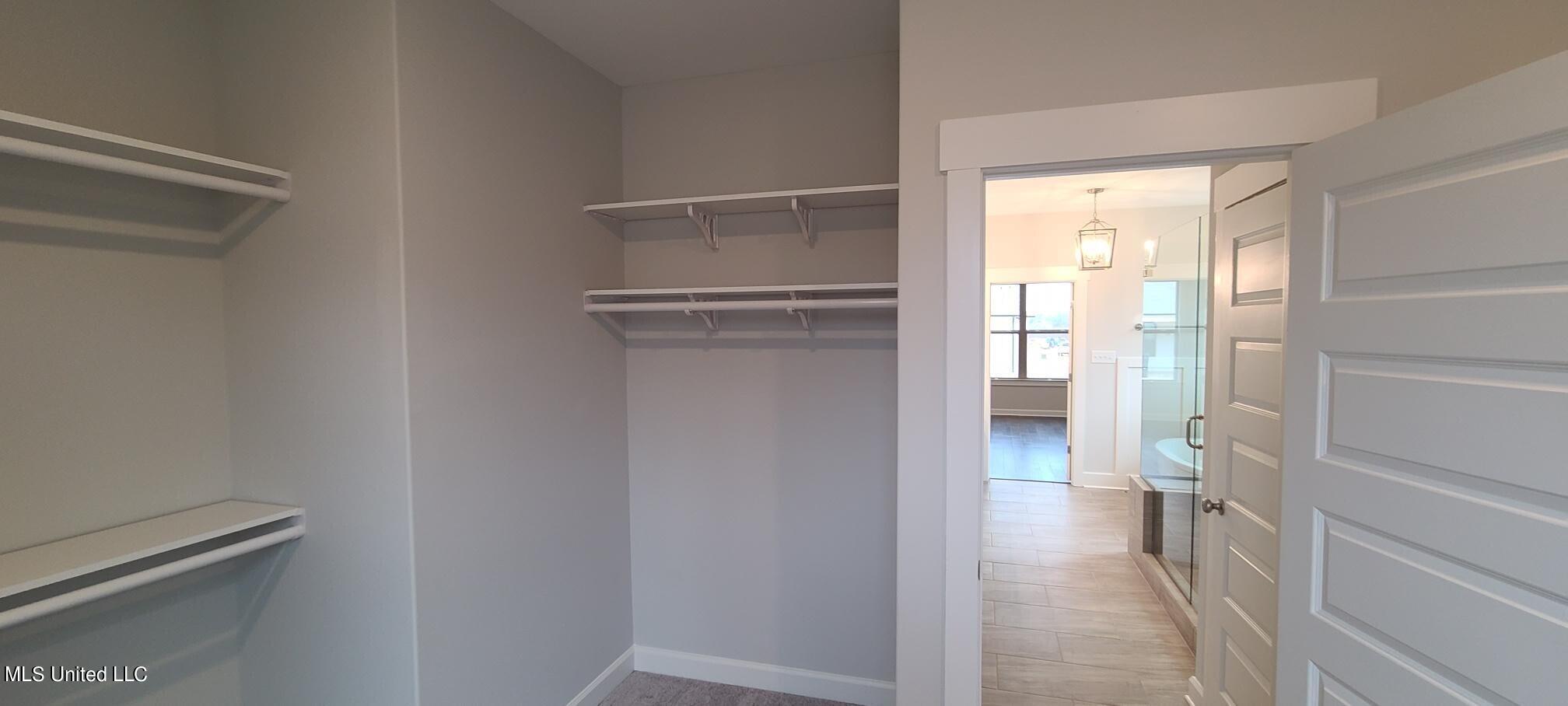 438 Natchez Loop Hernando, MS 38632 - Photo 18 of 27 Primary Closet