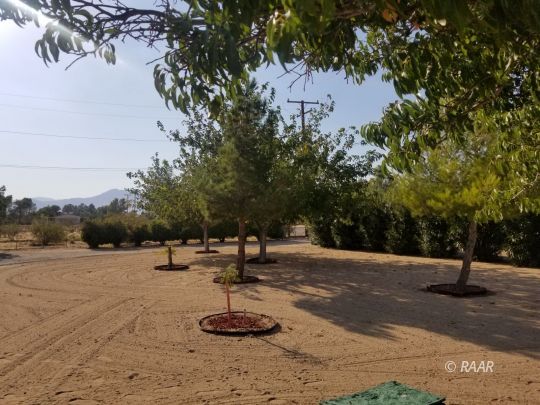 3735 West Ward Avenue Ridgecrest, CA 93555 - Photo 9 of 15 a view of a park