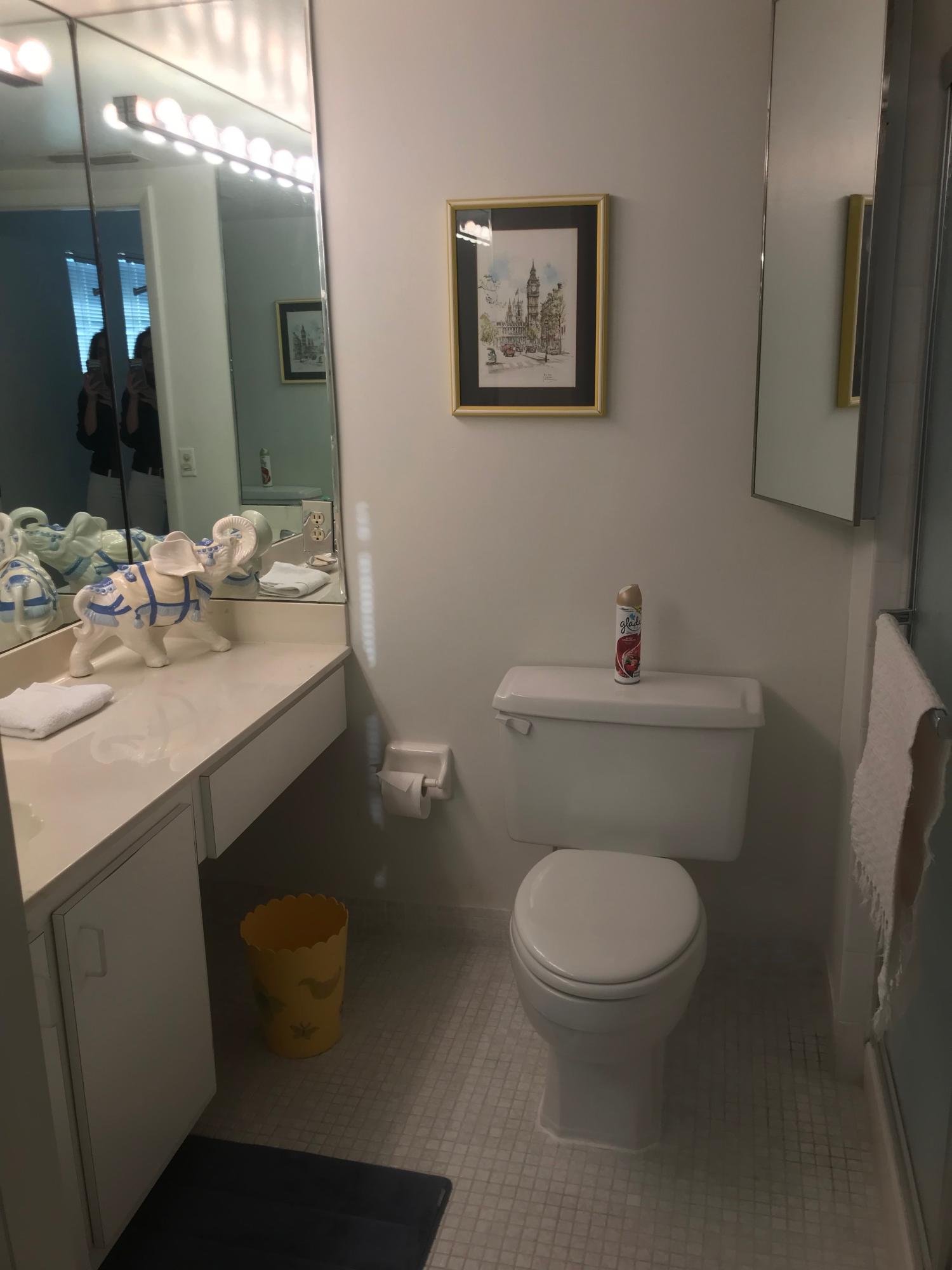 8045 Eastlake Drive, Unit 1D Boca Raton, FL 33433 - Photo 20 of 33 IMG_6543