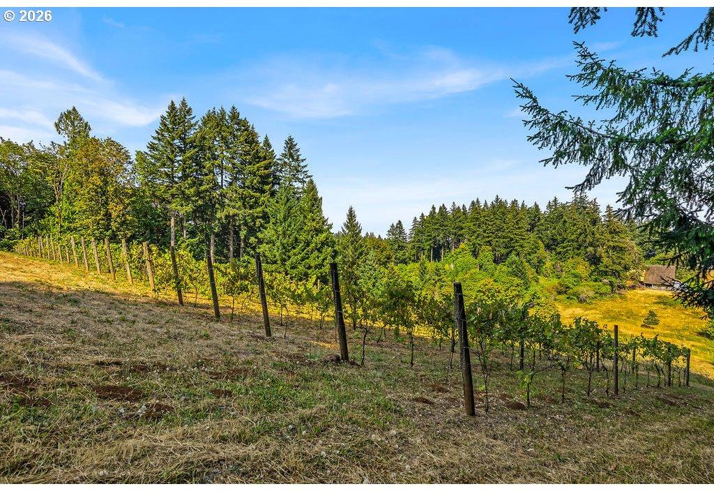18485 Northeast Smith Road Newberg, OR 97132 - Photo 40 of 46 Gallery Image 40